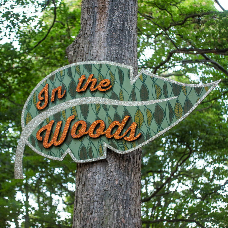 In The Woods