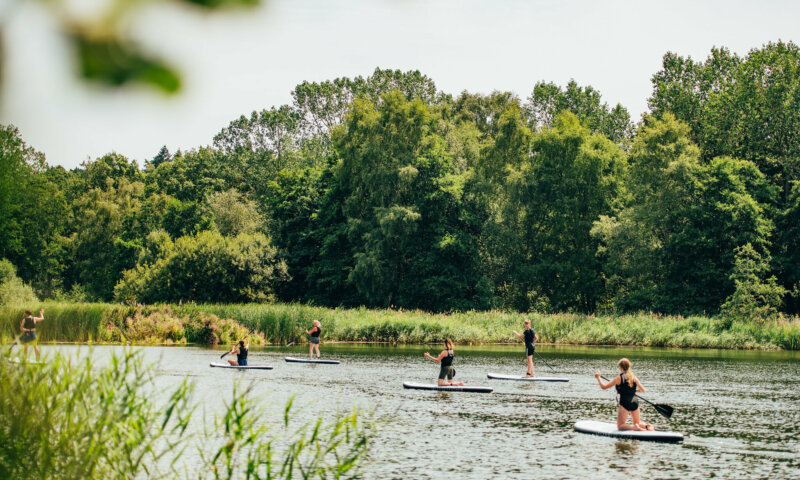 Stand Up Paddleboarding & Paddleboard Yoga