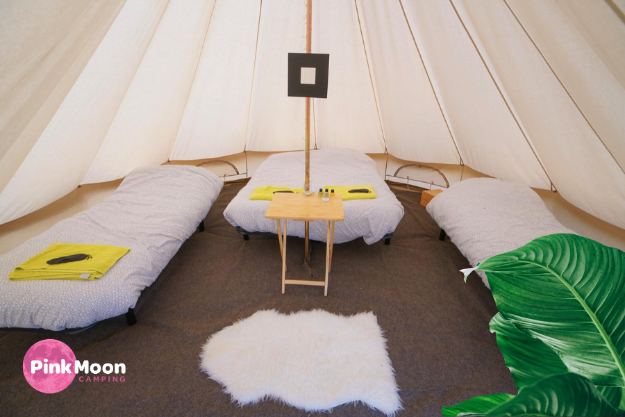 Take your Camping Experience to a New Level with Pink Moon