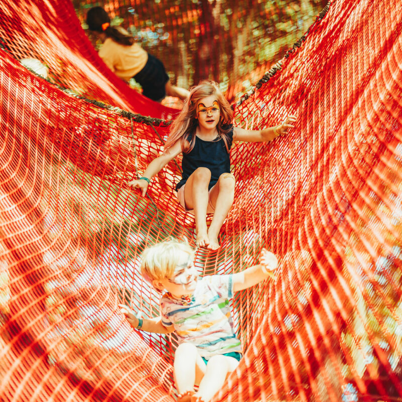 Greenpeace Zipline & Bushcraft Trail