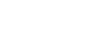 Logo for: Pepsi Max