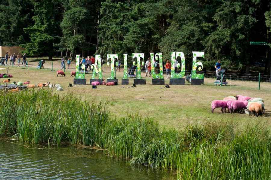 latitude sign in a field surrounded by pink sheep