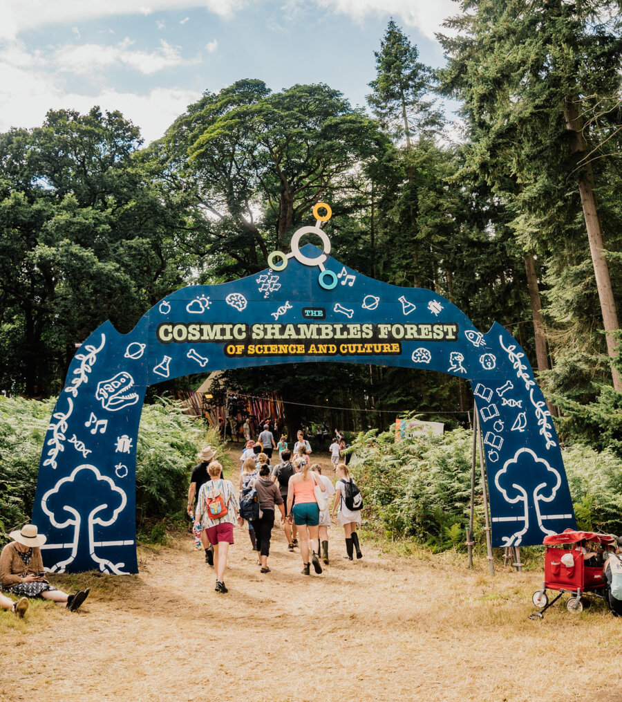 entrance to the cosmic shambles forest at latitude